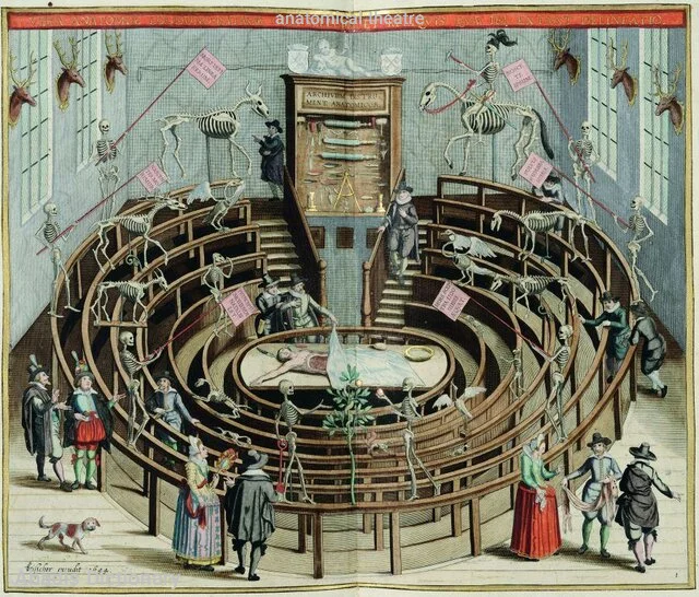 anatomical theatre